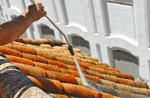 Nettoyage de toitures - Autruy-sur-Juine